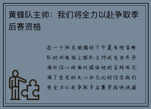 黄蜂队主帅：我们将全力以赴争取季后赛资格